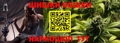 индика Мариинск