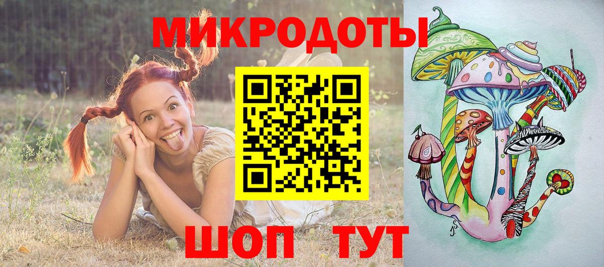 Выборг  Псилоцибиновые грибы Psilocybe  Вход с VPN 
